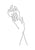 Abstract Lady Line Drawing Picture Home Decor Nordic Canvas Painting Wall Art Figure Body Hand Posters and Print for Living Room