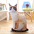 LREA New 50CM  cojines Plush Toy Cute Expression Simulation Cat Pillow Bedroom Sofa Decorations Cushion